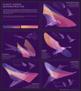 2016-design-trends-21